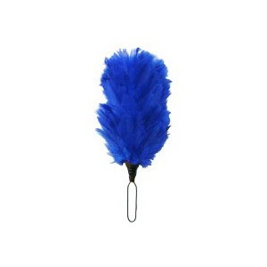 http://www.pipebandwear.biz/525-690-thickbox/single-blue-colored-feather-hackle.jpg