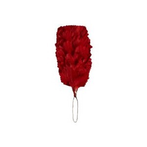 http://www.pipebandwear.biz/526-691-thickbox/single-red-colored-feather-hackle.jpg