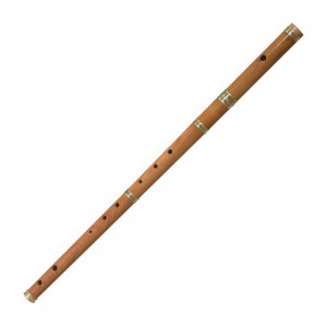 http://www.pipebandwear.biz/651-834-thickbox/d-irish-flute-cucas-wood.jpg