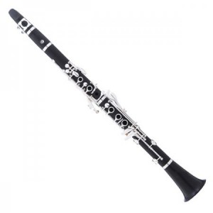 http://www.pipebandwear.biz/660-846-thickbox/ebony-b-flat-clarinet.jpg