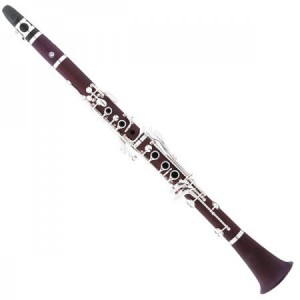 http://www.pipebandwear.biz/661-845-thickbox/rose-wood-b-flat-clarinet.jpg