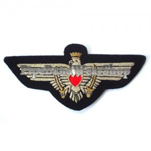 http://www.pipebandwear.biz/719-902-thickbox/bahrain-air-force-pilot-wings.jpg