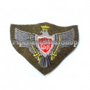 Bahrain Air Force Wings