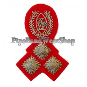 http://www.pipebandwear.biz/794-976-thickbox/kenyan-arm-brigadier-badge.jpg