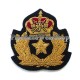 Oman Army Crown Badge