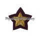 Qatar Rank Star Badge