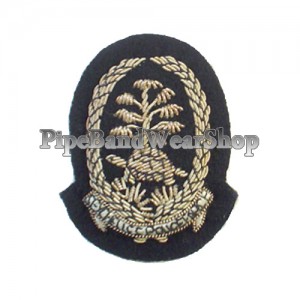 http://www.pipebandwear.biz/883-1062-thickbox/seychelles-police-cap-badge.jpg