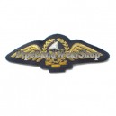 Dubai Air Wing Cap Badge