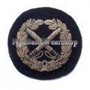 American Navy Badge