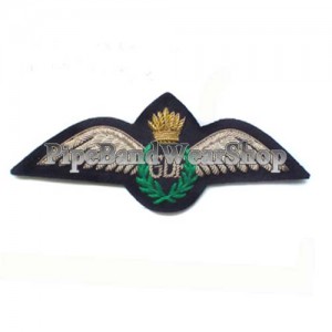 http://www.pipebandwear.biz/932-1110-thickbox/guyana-defence-force-wing-badge.jpg
