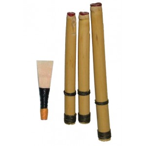 http://www.pipebandwear.biz/97-133-thickbox/bagpipe-drone-reed-4-pcs-set-made-in-cane.jpg