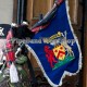 Royal Regiment of Scotland Bagpipe Pipe Banner